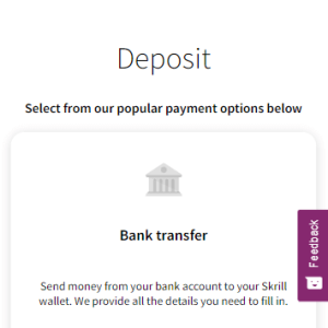 Step 2 - Transfer money to your Skrill account